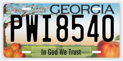 GA license plate PWI8540