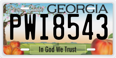 GA license plate PWI8543