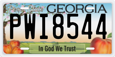 GA license plate PWI8544