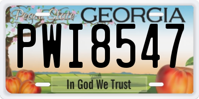 GA license plate PWI8547
