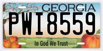 GA license plate PWI8559