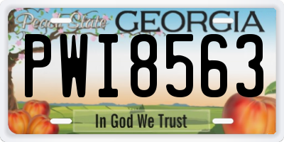 GA license plate PWI8563