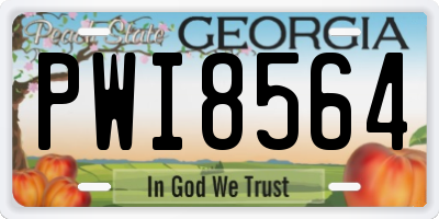 GA license plate PWI8564