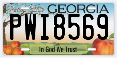 GA license plate PWI8569