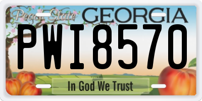 GA license plate PWI8570