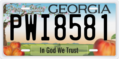 GA license plate PWI8581