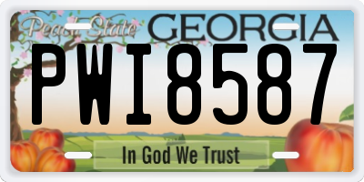 GA license plate PWI8587