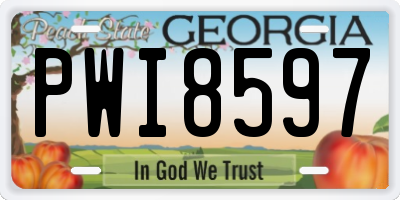 GA license plate PWI8597
