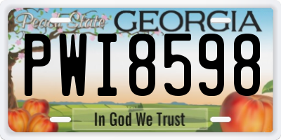 GA license plate PWI8598