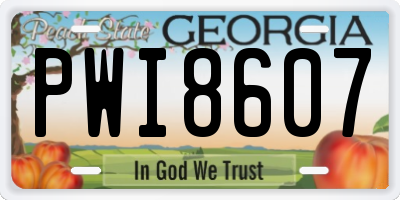 GA license plate PWI8607