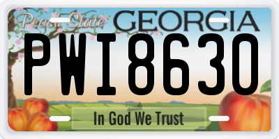 GA license plate PWI8630