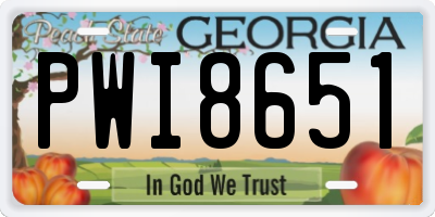 GA license plate PWI8651