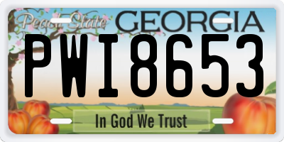 GA license plate PWI8653