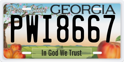 GA license plate PWI8667
