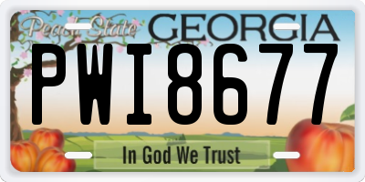 GA license plate PWI8677