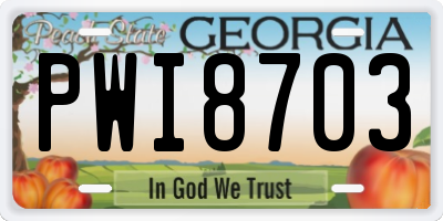 GA license plate PWI8703