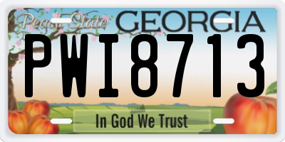 GA license plate PWI8713