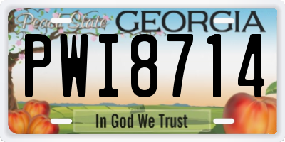 GA license plate PWI8714
