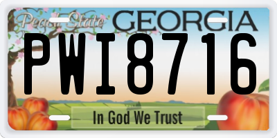 GA license plate PWI8716