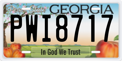 GA license plate PWI8717