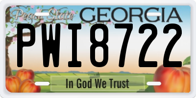 GA license plate PWI8722