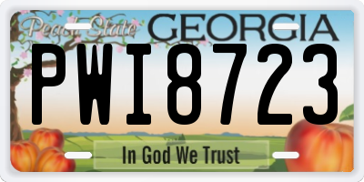 GA license plate PWI8723