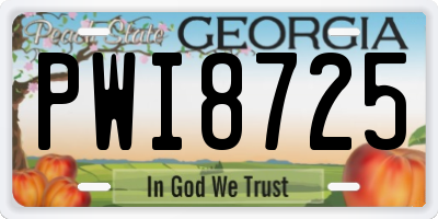 GA license plate PWI8725