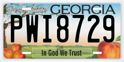 GA license plate PWI8729