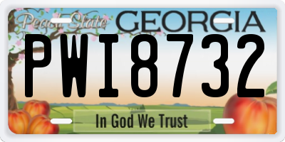 GA license plate PWI8732