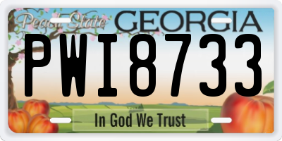 GA license plate PWI8733
