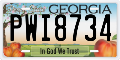 GA license plate PWI8734