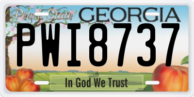 GA license plate PWI8737