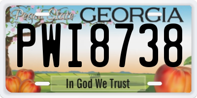 GA license plate PWI8738