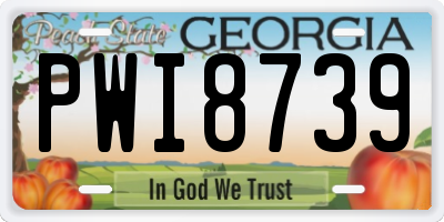 GA license plate PWI8739