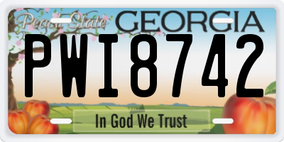 GA license plate PWI8742