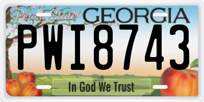 GA license plate PWI8743