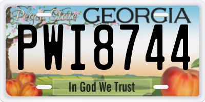 GA license plate PWI8744