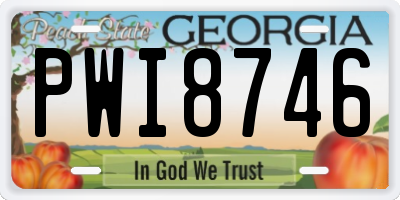 GA license plate PWI8746