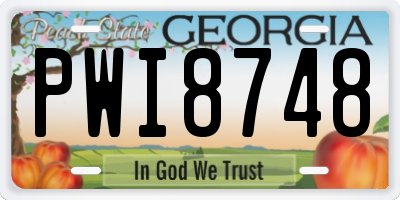 GA license plate PWI8748