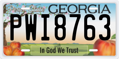 GA license plate PWI8763