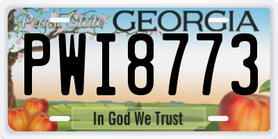 GA license plate PWI8773
