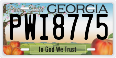 GA license plate PWI8775