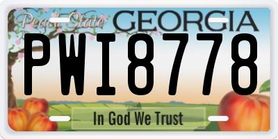 GA license plate PWI8778