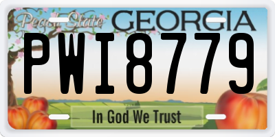 GA license plate PWI8779