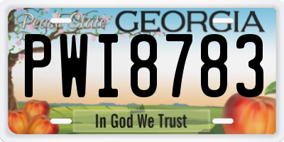 GA license plate PWI8783