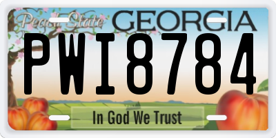 GA license plate PWI8784