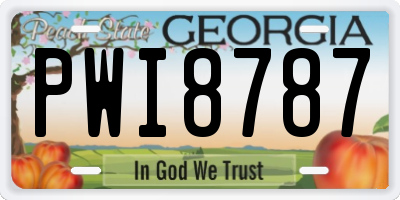 GA license plate PWI8787