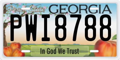 GA license plate PWI8788