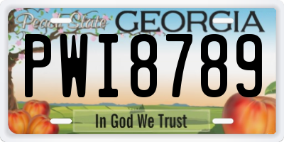 GA license plate PWI8789