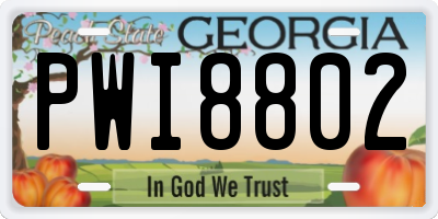 GA license plate PWI8802